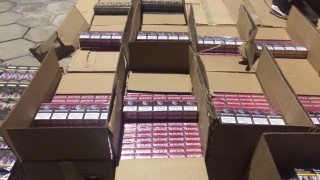 Иззеха над 25 000 кутии контрабандни цигари при спецакция в Габрово