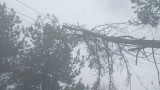 Проблеми с тока все още има в 590 населени места в страната