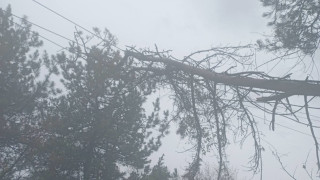 Все още има селища без ток но ситуацията се подобрява