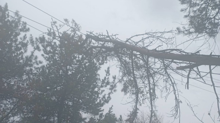 Изображение 596996