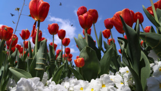 През започналото денонощие облачността ще e значителна Това съобщават от