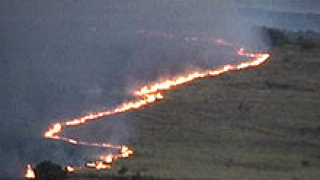 Пет сигнала за пожари в сухи треви подадени в Русе