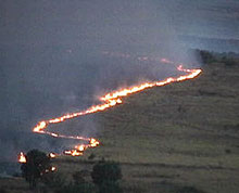 Сто декара борова гора изгоряха до старчески дом във В.Търново