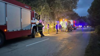 Двама загинаха при катастрофа край Стражица
