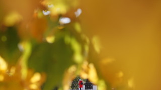 Днес ще преобладава слънчево време Това съобщават от НИМХ След обяд