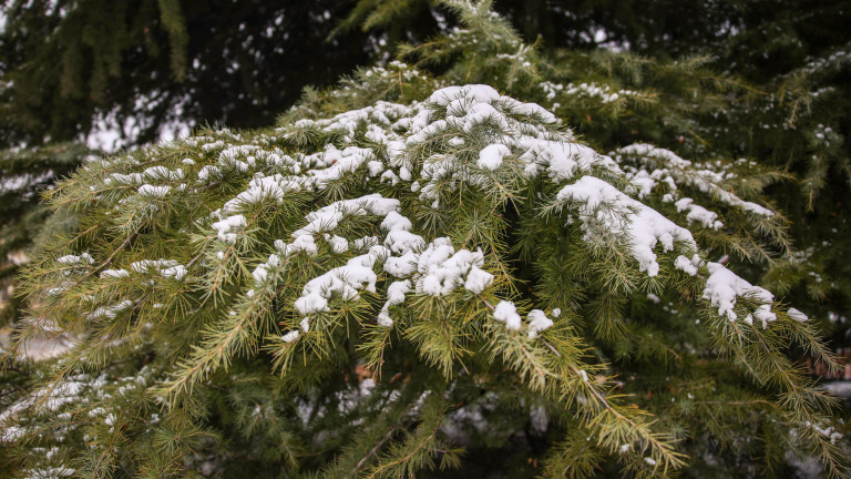 Изображение 648796