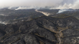 Опустошителни горски пожари обхванаха югоизточната част на Южна Корея принуждавайки