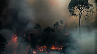 Френският президент Еманюел Макрон заяви че рекордният брой пожари в