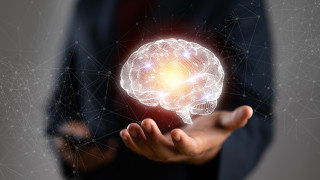 Мозъкът е своеобразен команден център той контролира мисленето паметта