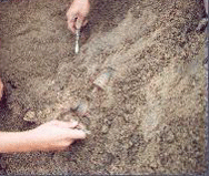 Деца от Шумен откриха скелет от 19-ти век