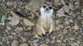 29 утвърдени учени от различни области с поглед фокусиран към