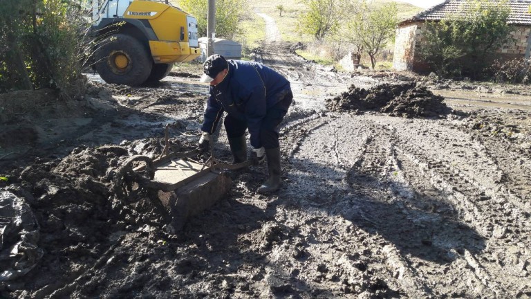 Изображение 320897