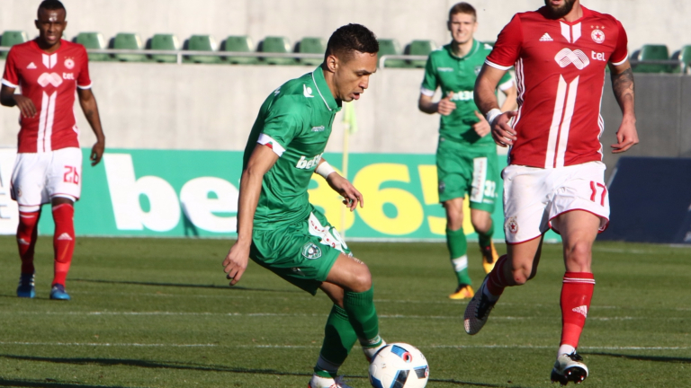 Изображение 261097