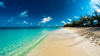 През 2015 година властите на Каймановите острови започват разследване което