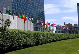 ООН подкрепи резолюцията за Сирия