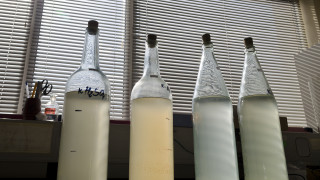 Манията по здравословен живот понякога може да прекрачи границите на