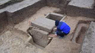 Намериха гробница след изкореняване на дърво в Свищов