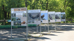 Зоологическа градина в София организира "Ден на лешоядите"