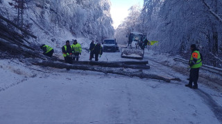 Продължава премахването на падналите дървета на пътя през прохода Петрохан