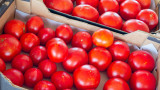  Земеделци на митинг поради ниските изкупни цени на доматите 