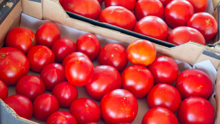Търговците спекулирали с цените на доматите