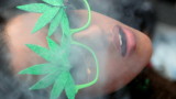 Шефът на СЗО се обяви против пълната легализация на марихуаната
