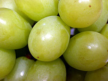 Очакват 302 хил. т. грозде за тази година