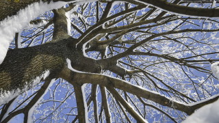 Виелици и снегонавявания в неделя