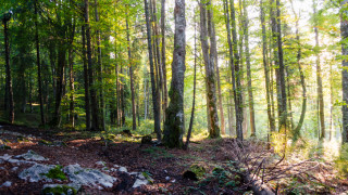 Днес ще бъде предимно слънчево Ще духа слаб в източните