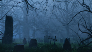 Всеки иска да посети знакови туристически дестинации в световен мащаб