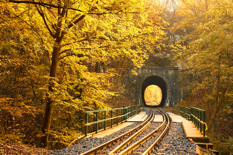 Голяма част от Европа е налична посредством железопътната си мрежа