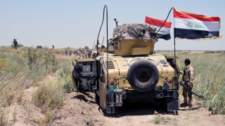 250 терористи от "Ислямска държава" избити при въздушни удари край Фалуджа