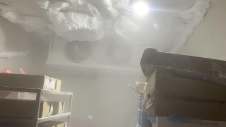 БАБХ затвори месопреработвателно предприятие в Монтана