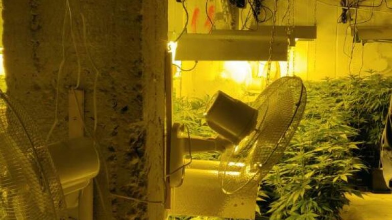 Изображение 527297