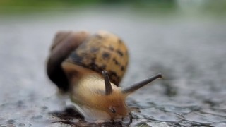 В петък преди обяд ще е предимно слънчево След обяд