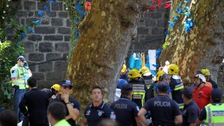 11 поклонници загинаха от паднало дърво в Мадейра