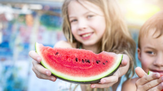 Високите температури промяната на времето пътуванията храната далеч от дома Сега