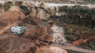 ЕС прие закон за борба с обезлесяването по света