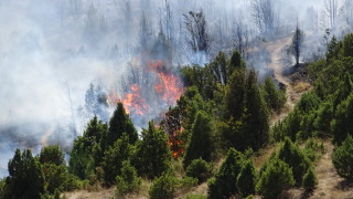Около 150 пожарникаря са гасили пожара в Кресненското дефиле през