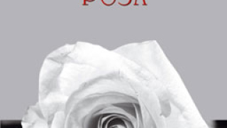 „Бялата роза" от Джийн Корелиц