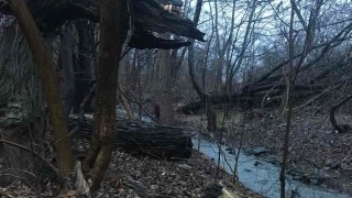 Жители на столичния кв Симеоново се опасяват че с очакваните