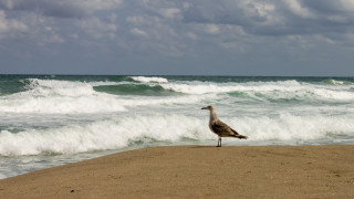 В седмицата на водното спасяване отиваме на плаж Какви опасности