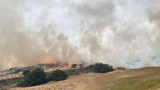  Италия желае от Европа противопожарни самолети за преодоляване на пожарите в Сардиния 