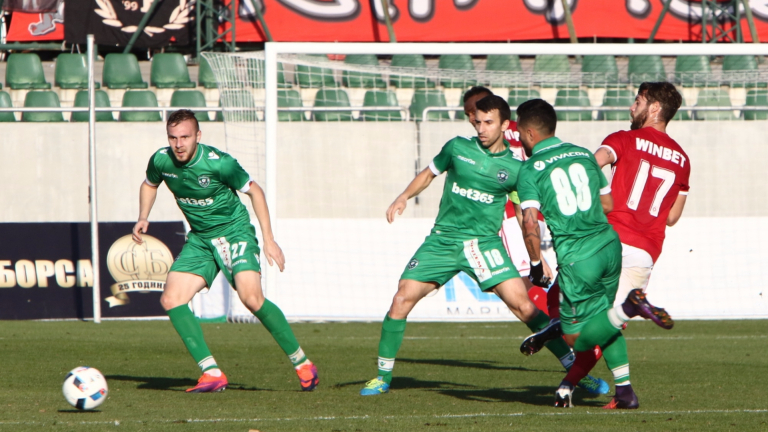 Изображение 261098