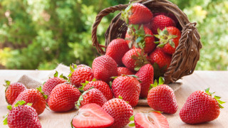 Компании в САЩ готвят производство на генно редактирани ягоди