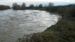 ВАС даде зелена светлина за почистване на коритото на Марица край Раковски без екооценка
