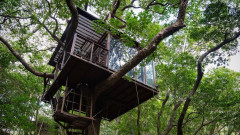 Къща на дърво - един от най-луксозните хотели в Япония