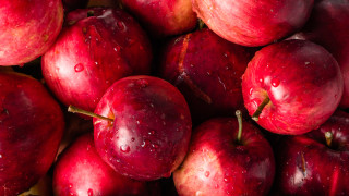 КНДР планира да доставя на Русия ябълки и женшен а
