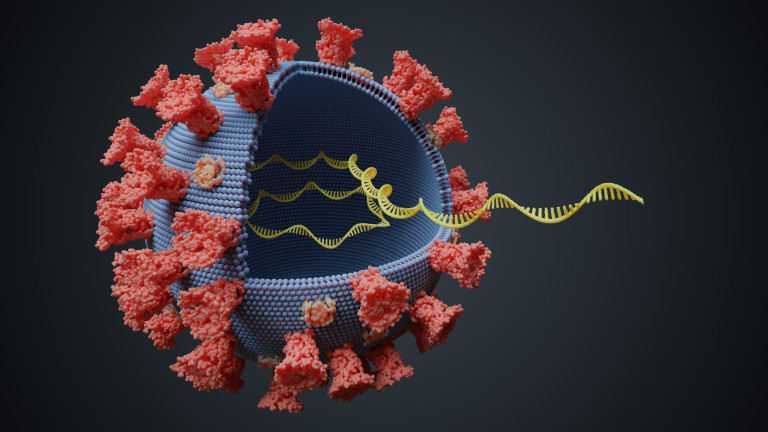 Нова мутация на коронавируса повдига въпроси за ваксините
