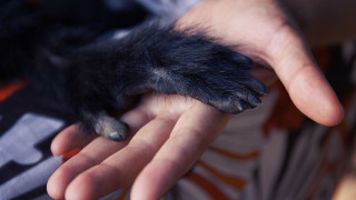 Когато някой е в беда или се нарани първата реакция